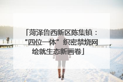 菏泽鲁西新区陈集镇：“四位一体”织密禁烧网 绘就生态新画卷