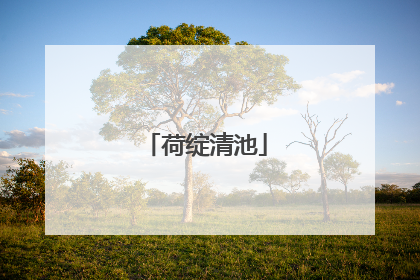 荷绽清池