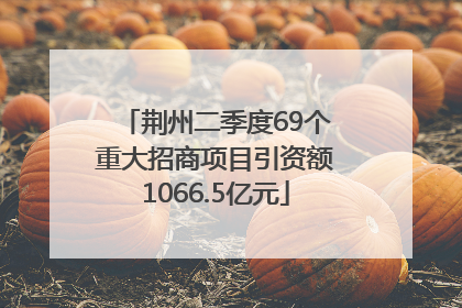 荆州二季度69个重大招商项目引资额1066.5亿元