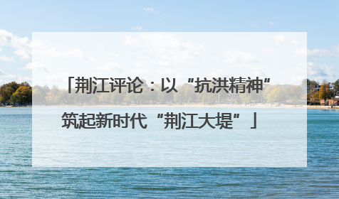 荆江评论：以“抗洪精神”筑起新时代“荆江大堤”