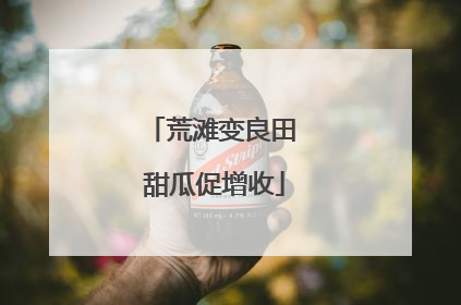 荒滩变良田 甜瓜促增收