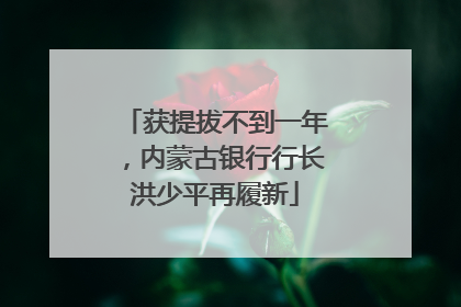 获提拔不到一年，内蒙古银行行长洪少平再履新