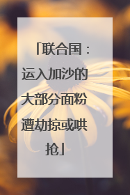 联合国：运入加沙的大部分面粉遭劫掠或哄抢