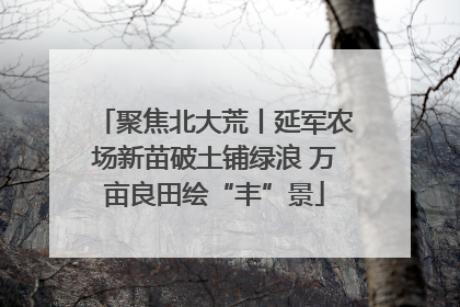 聚焦北大荒丨延军农场新苗破土铺绿浪 万亩良田绘“丰”景
