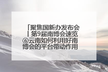聚焦国新办发布会丨第9届南博会速览⑥云南如何利用好南博会的平台带动作用，深化与南亚国家的交流与合作？