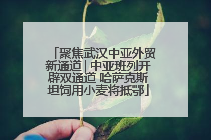 聚焦武汉中亚外贸新通道│中亚班列开辟双通道 哈萨克斯坦饲用小麦将抵鄂