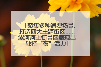 聚集多种消费场景、打造四大主题街区……漯河河上街景区展现出独特“夜”活力
