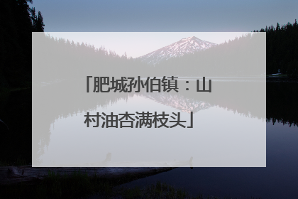 肥城孙伯镇：山村油杏满枝头