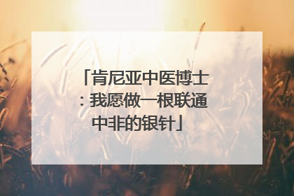 肯尼亚中医博士：我愿做一根联通中非的银针
