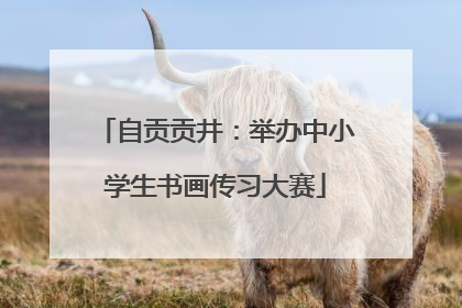 自贡贡井：举办中小学生书画传习大赛