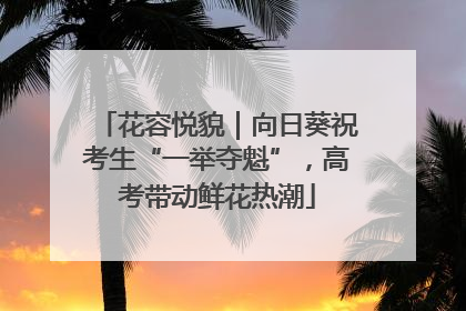 花容悦貌｜向日葵祝考生“一举夺魁”，高考带动鲜花热潮