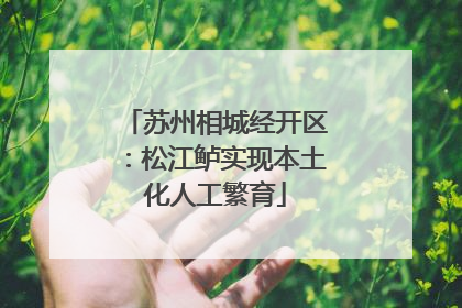 苏州相城经开区：松江鲈实现本土化人工繁育