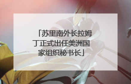 苏里南外长拉姆丁正式出任美洲国家组织秘书长