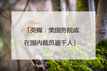 英媒：美国务院或在国内裁员逾千人