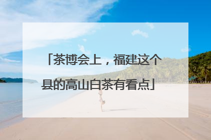 茶博会上，福建这个县的高山白茶有看点