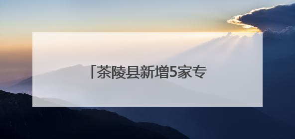 茶陵县新增5家专精特新中小企业
