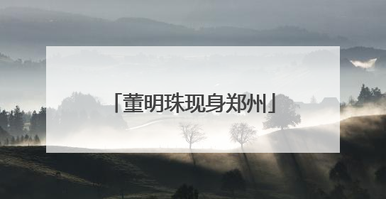 董明珠现身郑州