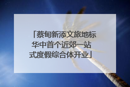 蔡甸新添文旅地标 华中首个近郊一站式度假综合体开业