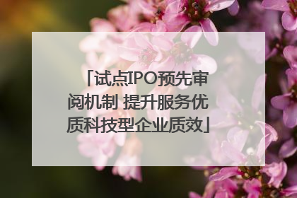 试点IPO预先审阅机制 提升服务优质科技型企业质效