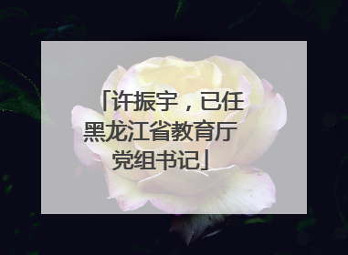 许振宇，已任黑龙江省教育厅党组书记