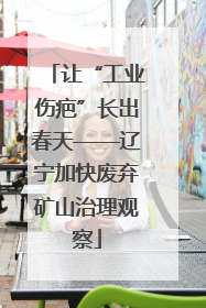 让“工业伤疤”长出春天——辽宁加快废弃矿山治理观察