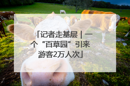 记者走基层｜一个“百草园”引来游客2万人次