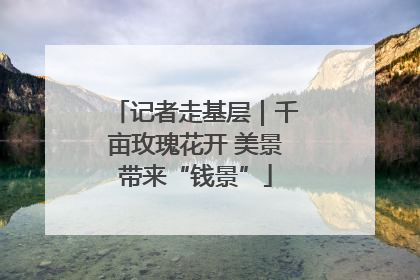记者走基层｜千亩玫瑰花开 美景带来“钱景”