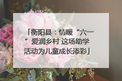 衡阳县：情暖“六一”爱润乡村 这场助学活动为儿童成长添彩