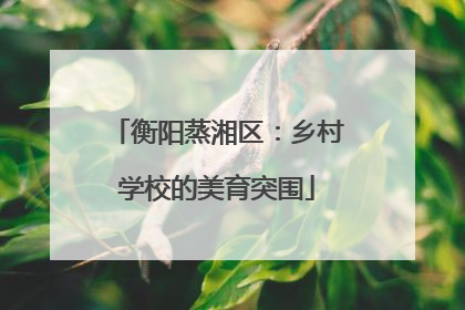 衡阳蒸湘区：乡村学校的美育突围