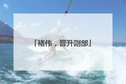 褚伟，晋升副部