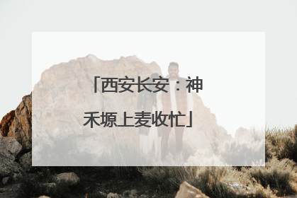 西安长安：神禾塬上麦收忙