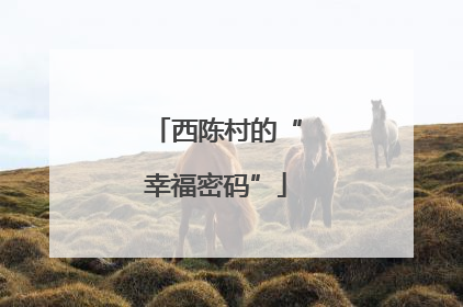 西陈村的“幸福密码”