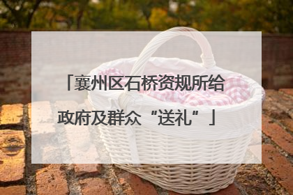 襄州区石桥资规所给政府及群众“送礼”