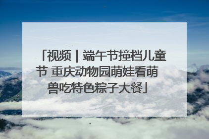 视频｜端午节撞档儿童节 重庆动物园萌娃看萌兽吃特色粽子大餐