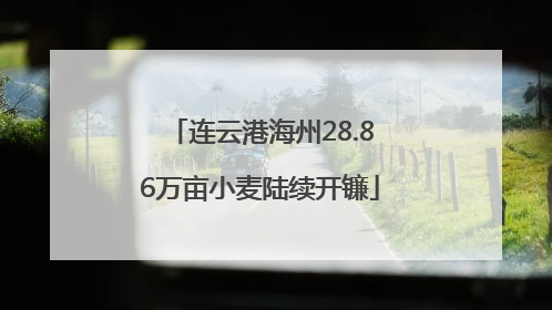 连云港海州28.86万亩小麦陆续开镰