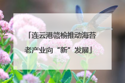 连云港赣榆推动海苔老产业向“新”发展