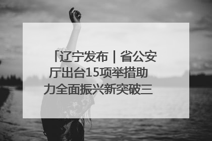 辽宁发布｜省公安厅出台15项举措助力全面振兴新突破三年行动决胜之战