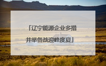 辽宁能源企业多措并举备战迎峰度夏