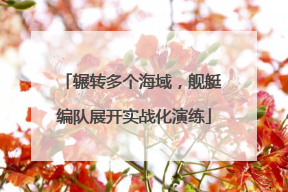 辗转多个海域，舰艇编队展开实战化演练