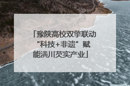 豫陕高校双擎联动 “科技+非遗”赋能潢川芡实产业