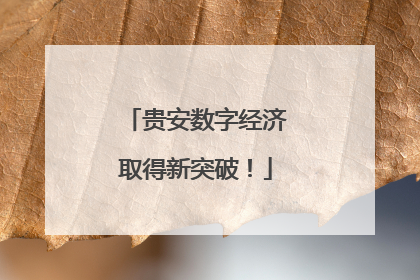贵安数字经济取得新突破！