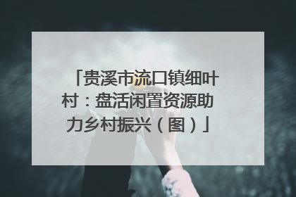 贵溪市流口镇细叶村：盘活闲置资源助力乡村振兴（图）