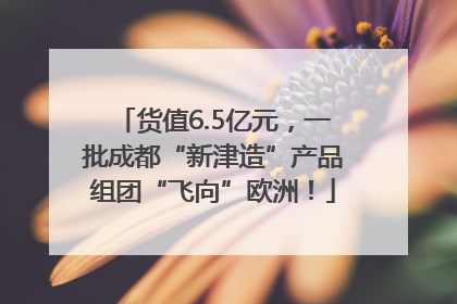 货值6.5亿元，一批成都“新津造”产品组团“飞向”欧洲！