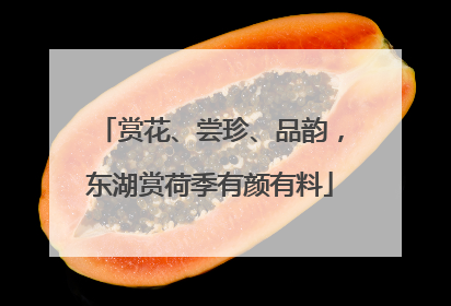 赏花、尝珍、品韵，东湖赏荷季有颜有料