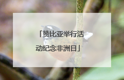 赞比亚举行活动纪念非洲日