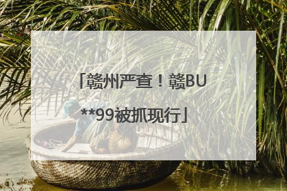 赣州严查！赣BU**99被抓现行