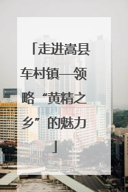 走进嵩县车村镇—领略“黄精之乡”的魅力