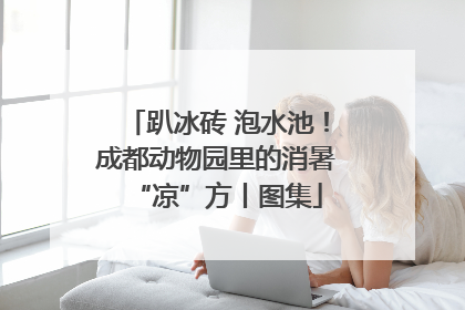 趴冰砖 泡水池！成都动物园里的消暑“凉”方丨图集