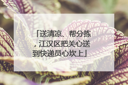 送清凉、帮分拣，江汉区把关心送到快递员心坎上