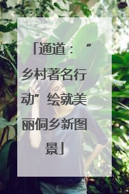 通道：“乡村著名行动”绘就美丽侗乡新图景